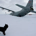 A Plane In The Arctic Captivity