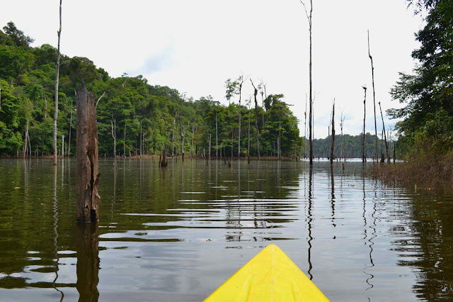 Guyane, balade en Canoë,  barrage du petit saut, Sinnamary, EDF, Kourou, circuit canoë