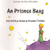 Voir la critique An Prionsa Beag: The Little Prince PDF