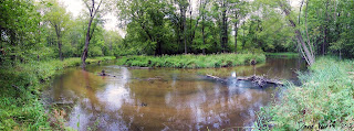 panoramic photo of river, michigan manistee national forest, trail, camp