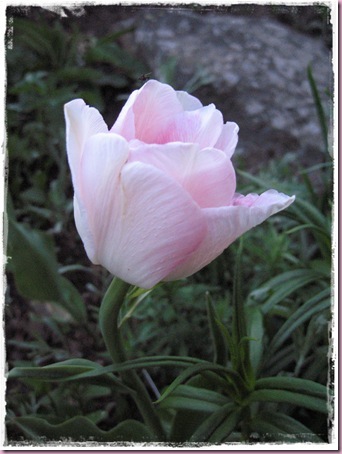 018