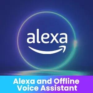 Alexa and Offline Voice Assistant