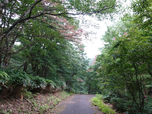 香取草谷展望駐車場に向かう山道