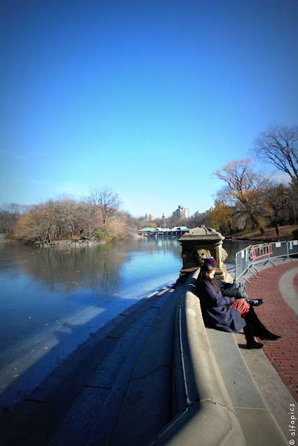 Central park-New York