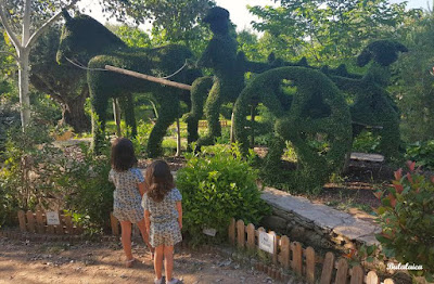 Visita al Bosque Encantado