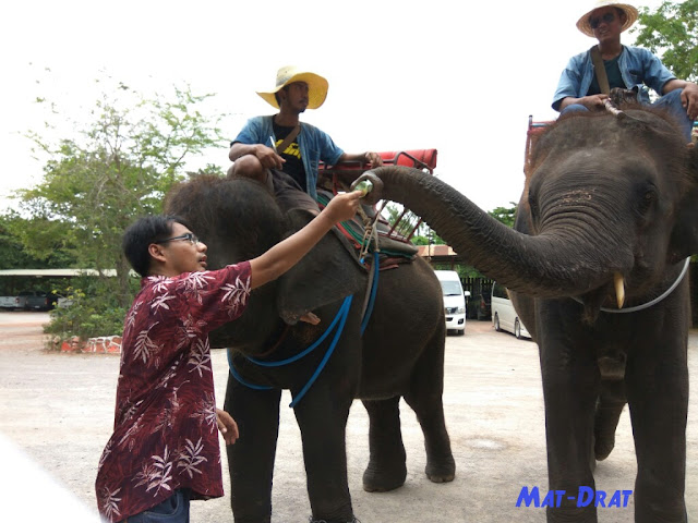 Elephant Village Damnoen Saduak Housing