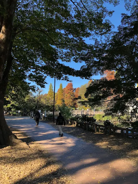 井の頭公園内（秋）