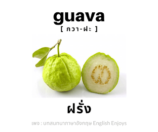 guava - ฝรั่ง