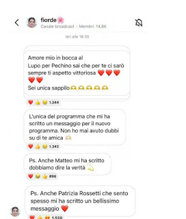 Antonella Fiordelisi e Nikita Pelizon hanno litigato