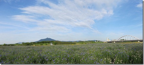 s-IMG_2928_stitch