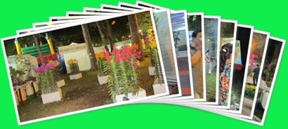 View album