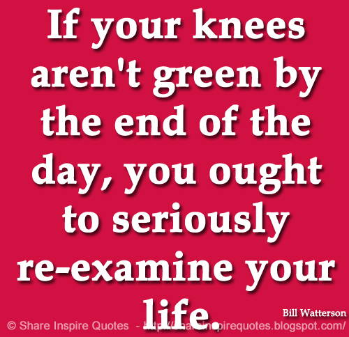 If your knees aren't green by the end of the day, you ought to seriously re-examine your life. ~Bill Watterson