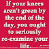 If your knees aren't green by the end of the day, you ought to seriously re-examine your life. ~Bill Watterson