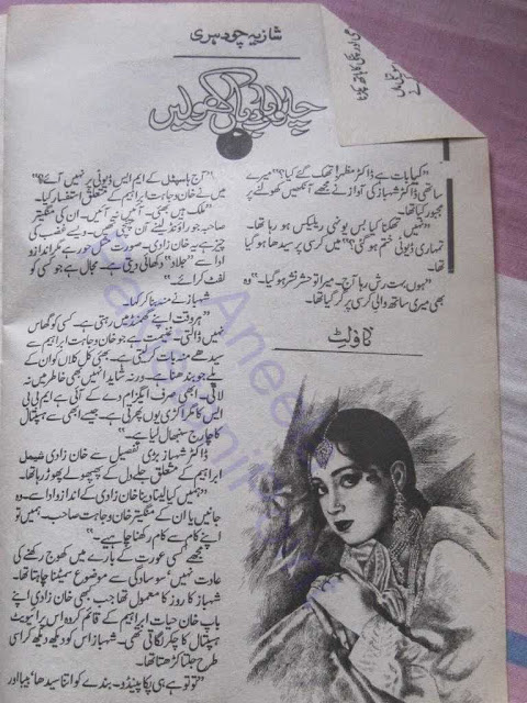 Chalo badban kholen by Shazia Chaudhary Online Reading