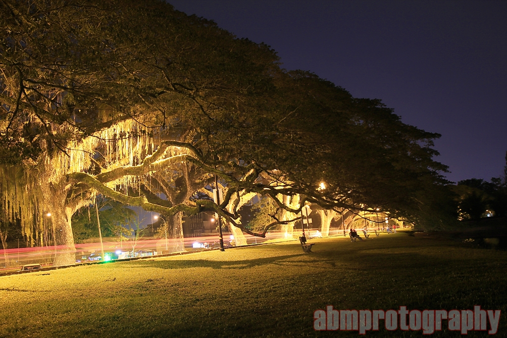 Taiping Lake Garden, Perak | abmprotography