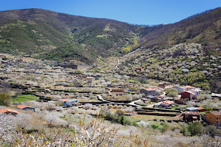 El Valle del Jerte en floración. Tornavacas y su mirador