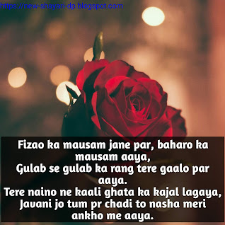 Love shayari dp