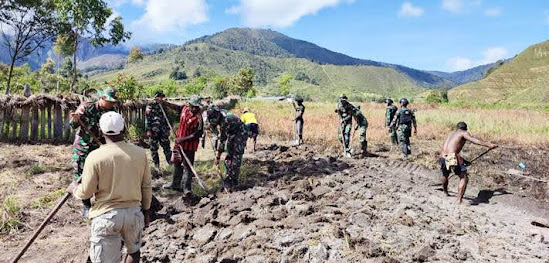 Pertanian di Papua