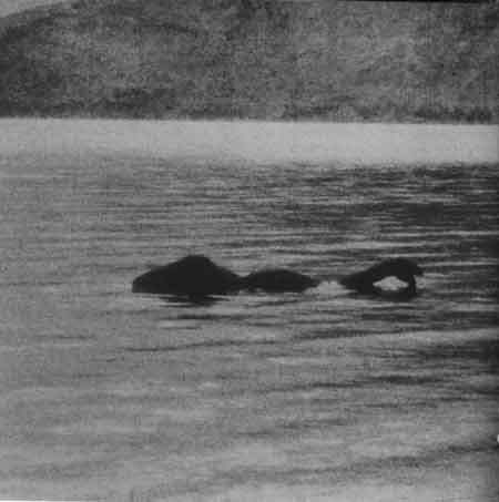 sightings of the lochness monster