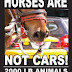 A Horse of a Different Color: Carriage Horses Are Neither War Horses
Nor Work Horses
