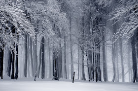 paisaje-invernal-literatura