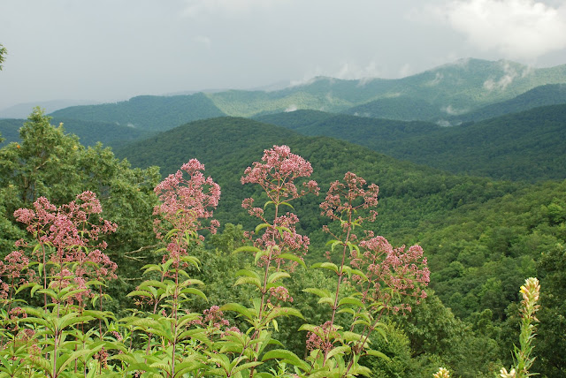 Blue Ridge Parkway