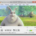 VLC Media Player 1.1.11 Download