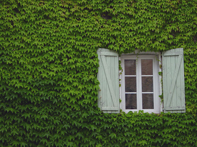 A window in Villecroze, France