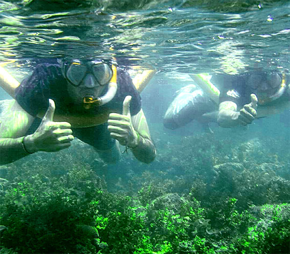 Diving area Pulau Sawi