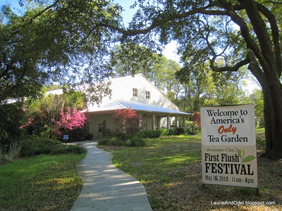 Charleston Tea Gardens - the factory and gift shop.