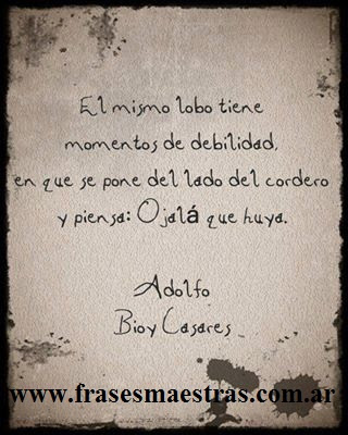 frases de Adolfo Bioy Casares