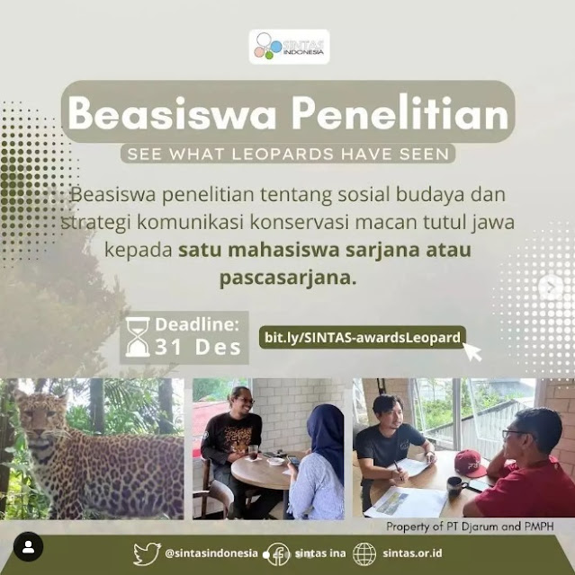 Pendaftaran Beasiswa Penelitian See What Leopards Have Seen