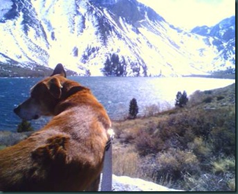 clip_image002