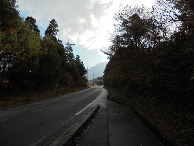 284号道路の大山寺岸本線を大山の方へ歩きます