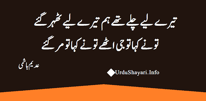 Tere Liye Chalay Thay Hum shayari collection