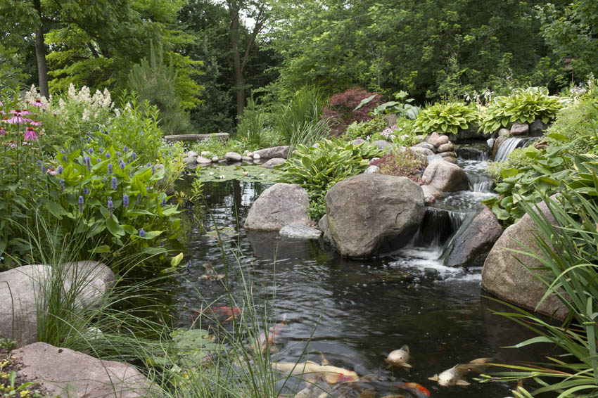 Aquascape Your Landscape: Designing Your Dream Pond