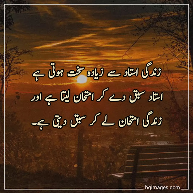 real life quotes in urdu