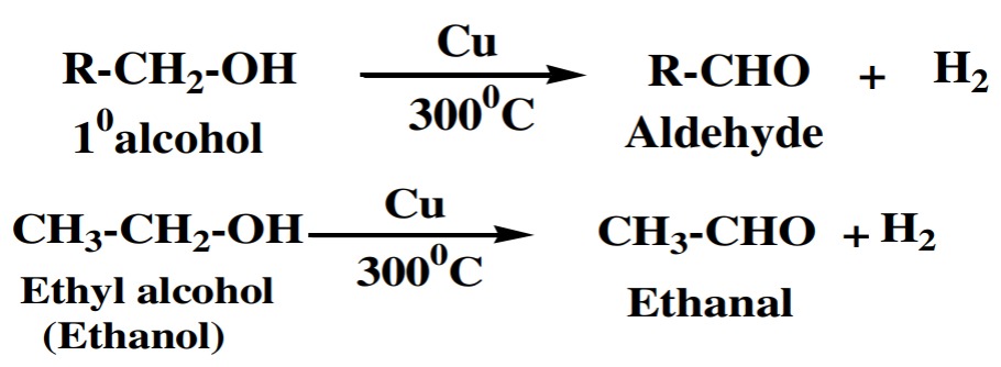 1° or primary alcohols are dehydrogenated into aldehydes.