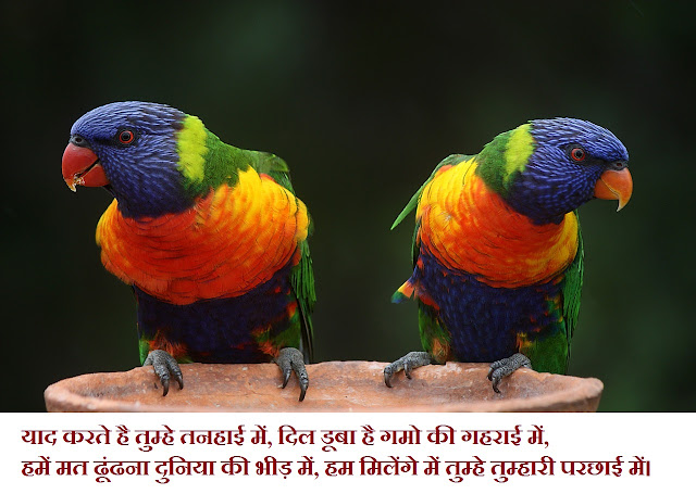 latest Dard shayari in hindi with an image 