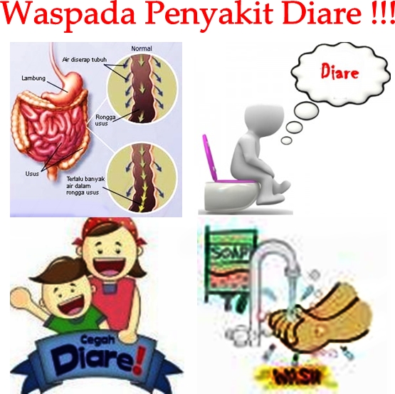 Pengobatan Tradisional Diare  Obat Alami Tradisional