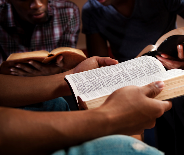 Voici la plante qui est censée guérir tout selon la Bible