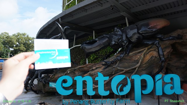 Entopia