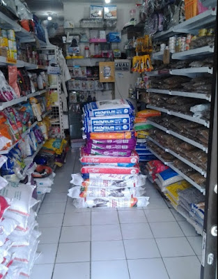 tampak dalam ruangan star pets hop depok