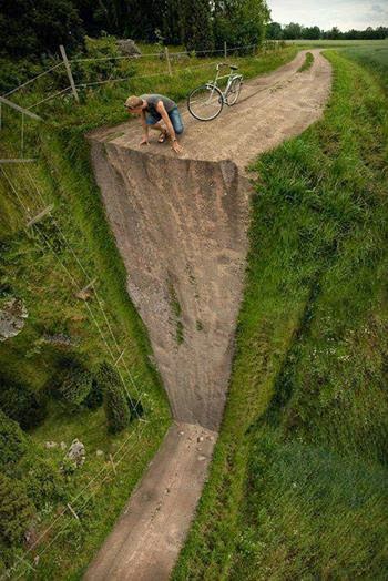 De ce a traversat puiul strada? 