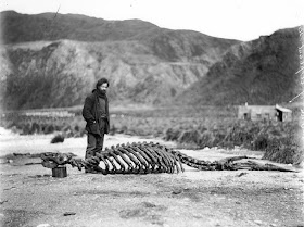 Fotografías de la Antártida hace 100 años