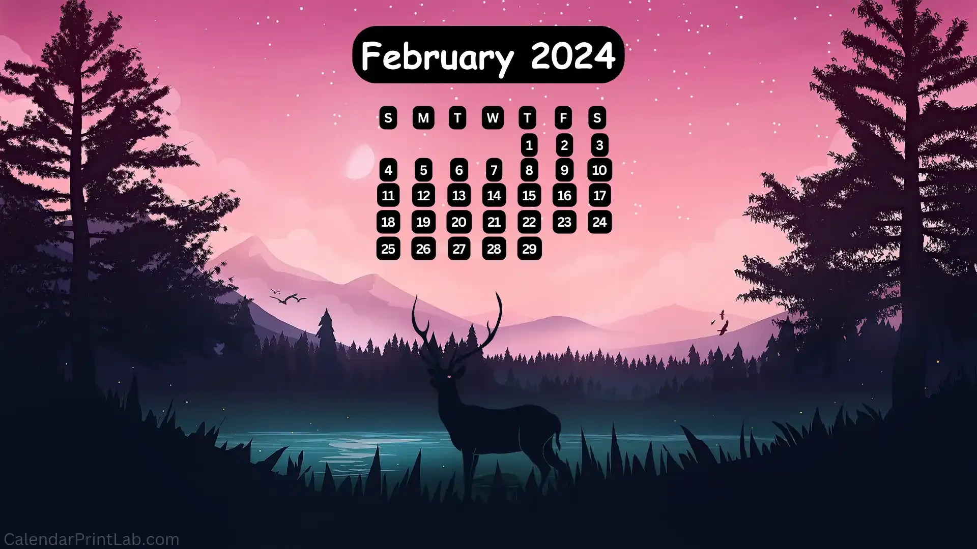 February 2024 Nature Calendar Wallpaper