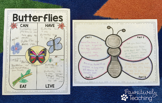 Butterfly Teaching Ideas: A Collection of Teaching Ideas for Butterflies to Use in Your Primary Classroom Includes a FREEBIE