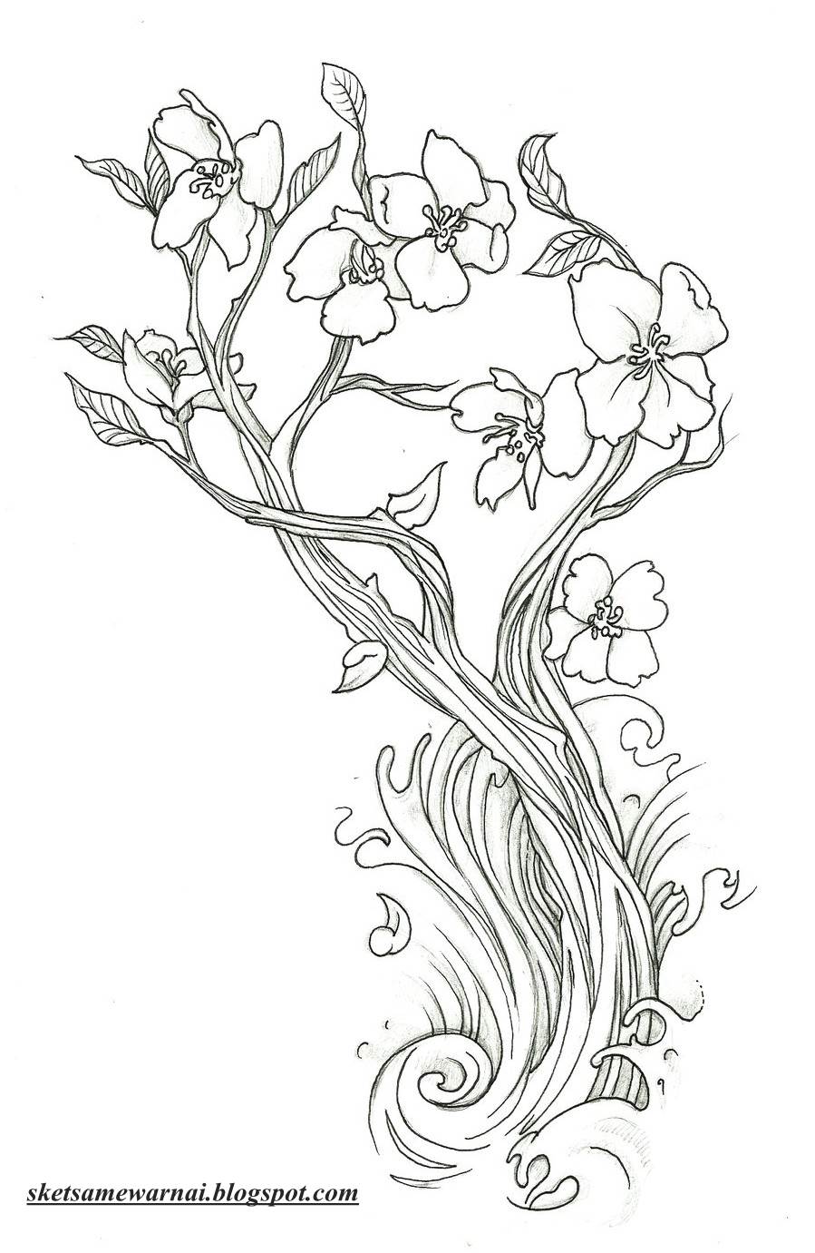 Sketsa Mewarnai Gambar Bunga Sakura - Sketsa Mewarnai