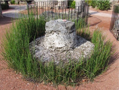 CoralCastleMuseumVisit-8-2015-02-6-20-53.jpg