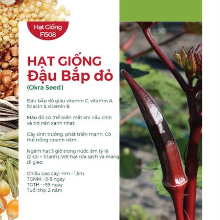 Hạt giống Đậu bắp đỏ 503HQ